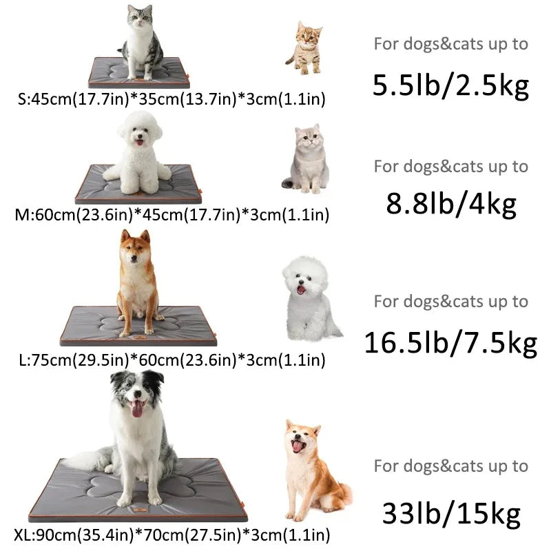 Tapis chien exterieur dimensions 