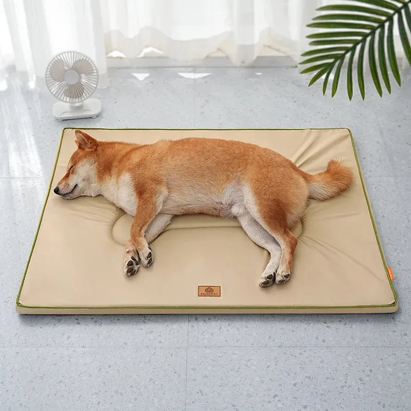 Tapis chien exterieur avec un shiba claire couche sur un tapis claire dans un salon 