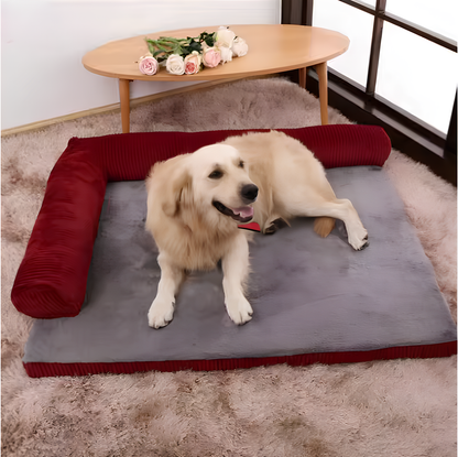 Golden retriever blanc couché sur un tapis chien rouge style velours dans un salon de couleur claire. Image produit Boutiquechien