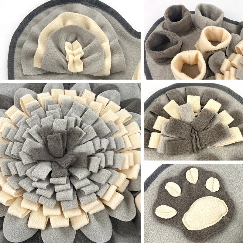 Tapis de recherche chien gris  Image