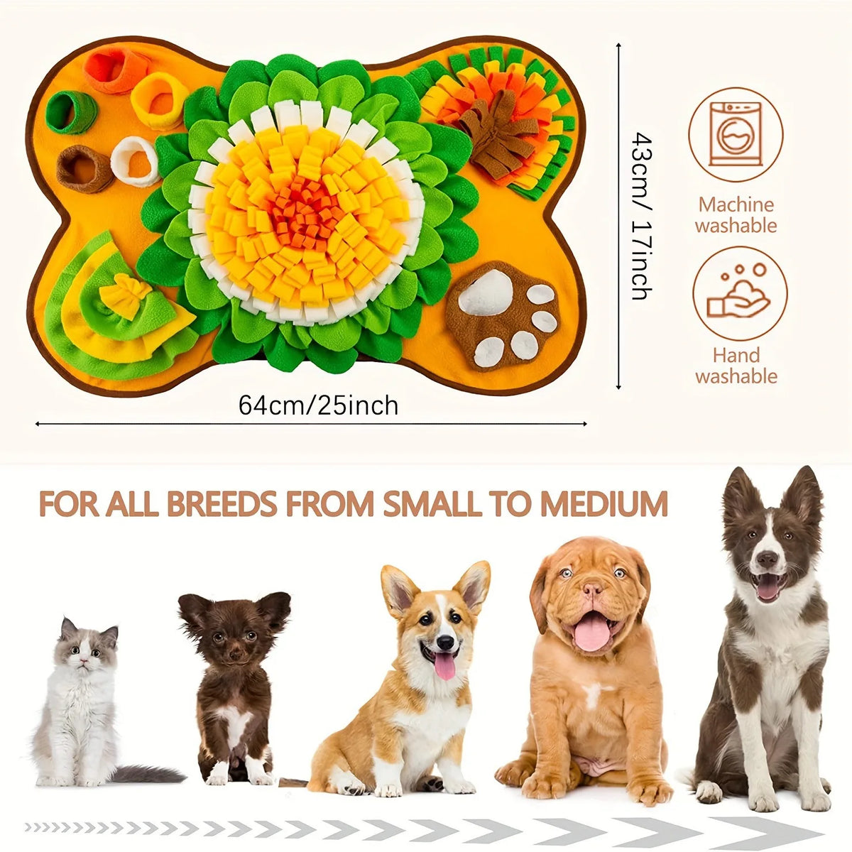 Tapis de recherche chien dimensions total  Image