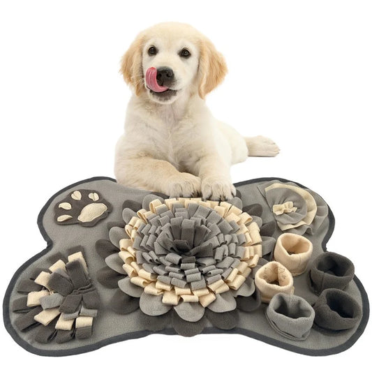 Tapis de recherche chien gris