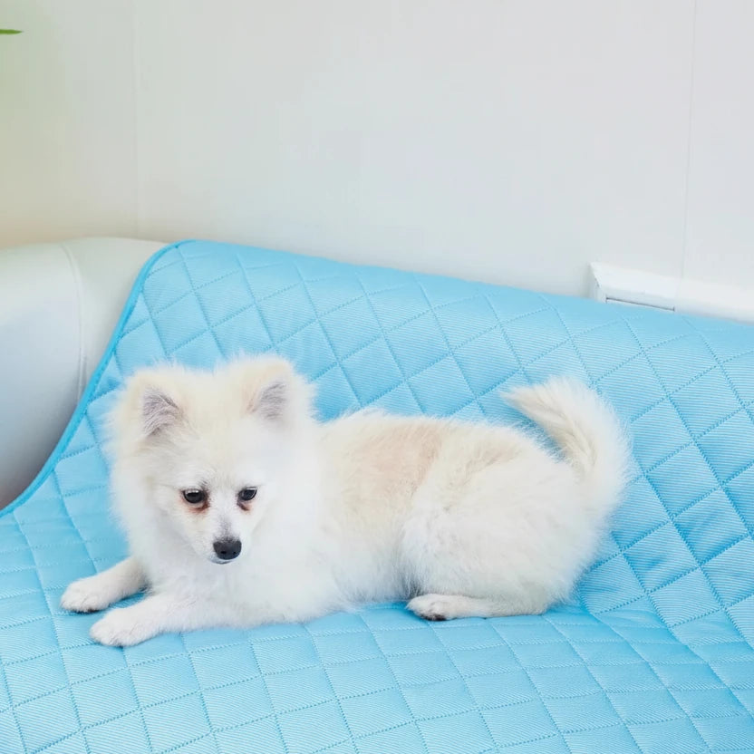 Tapis froid pour chien avec un petit chien blanc dans un salon claire 