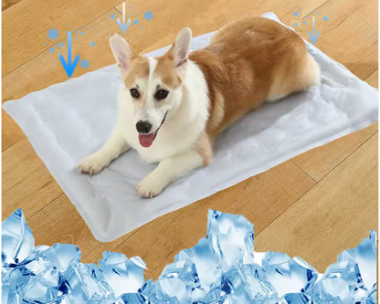Tapis chien rafraîchissant de couleur blanc pour petit et moyen chien. Le chien est de couleurs brun et blanc. Image produit Boutiquechien 