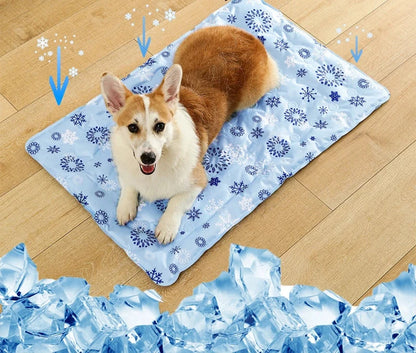 Tapis pour chien de couleur bleu rafraîchissant. Le tapis est posé sur un sol en bois. Image produit Boutiquechien
