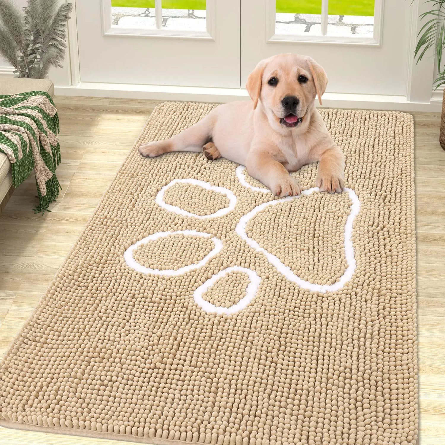 Tapis super absorbant pattes chien avec un chien sur un tapis beige chien