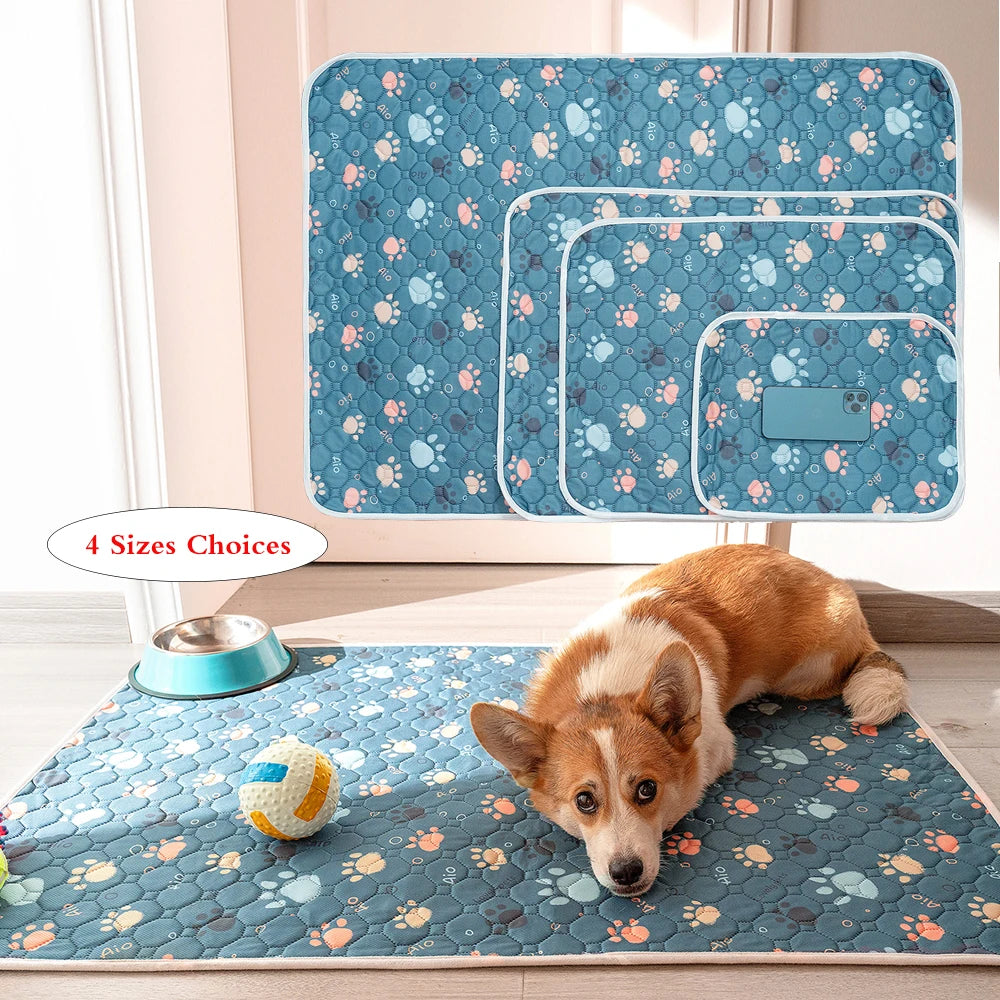 Tapis ultra absorbant pour chien avec un chien couche 