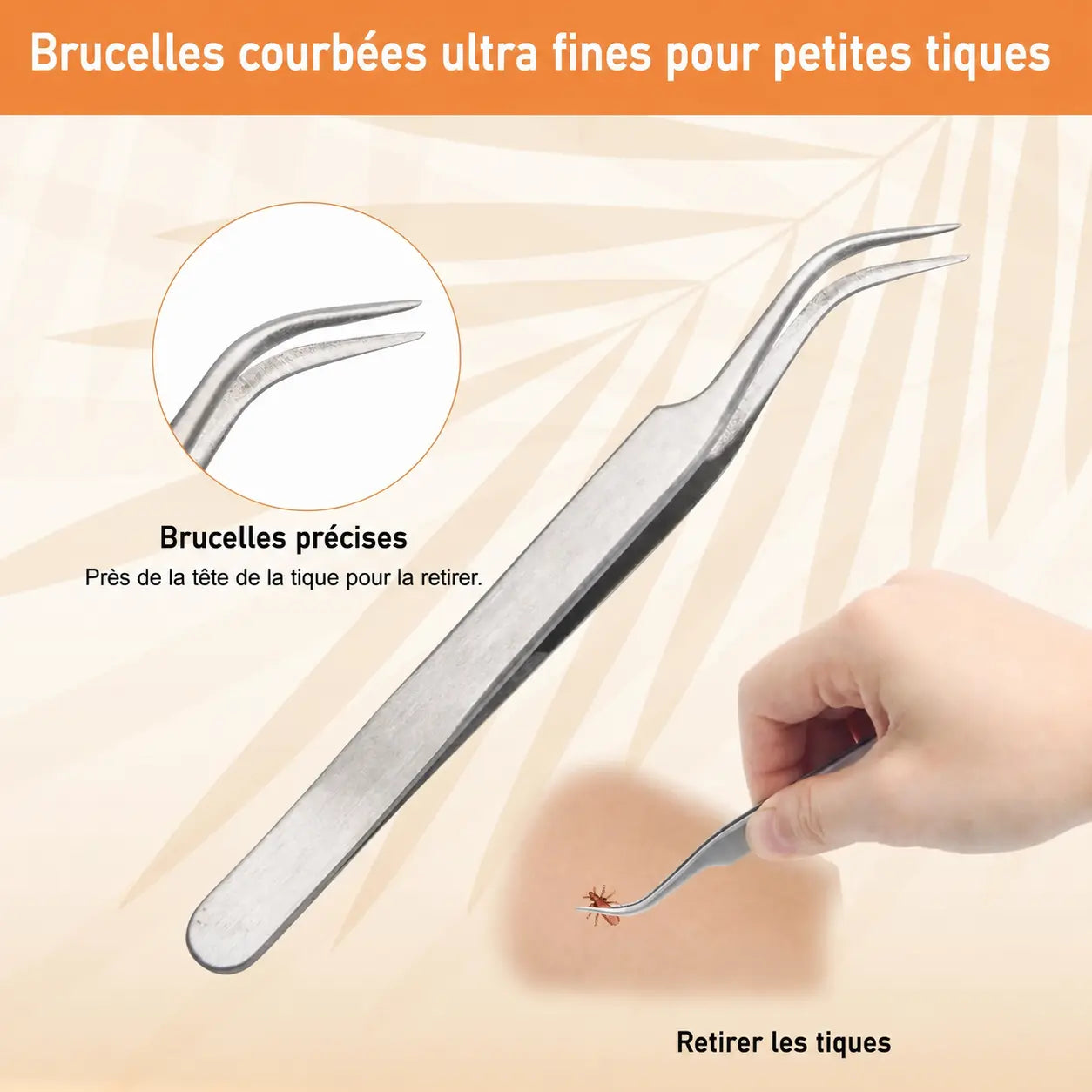 Tire tique chien pince  Image