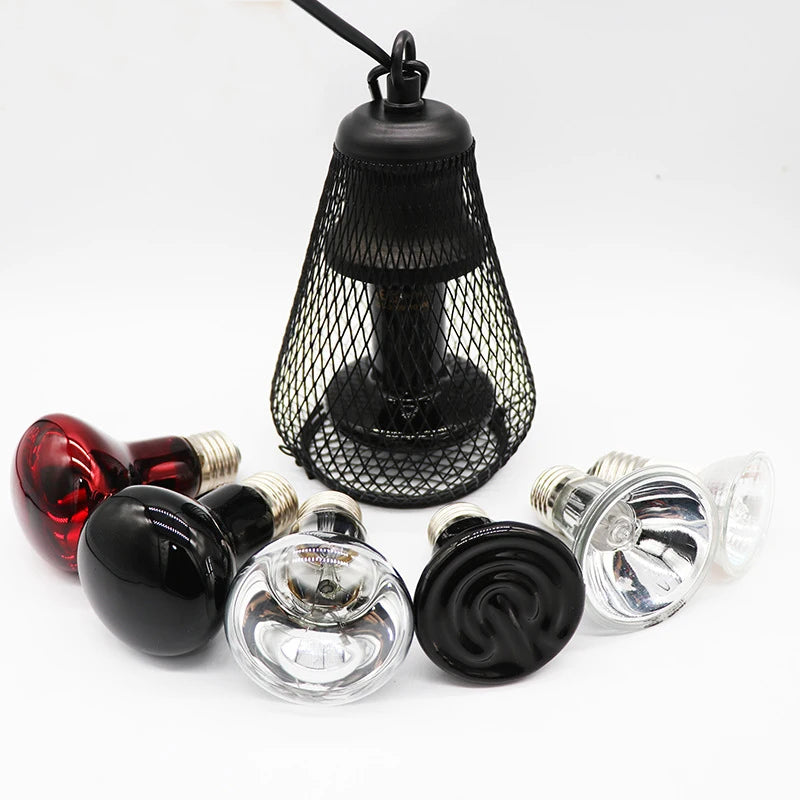 Toutes les lampes compatible avec les lampe de Boutiquechien