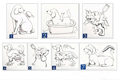 image montrant comment utiliser un pulseur chien de façon optimisé pour un meilleur nettoyage de votre chien. image produit Boutiquechien