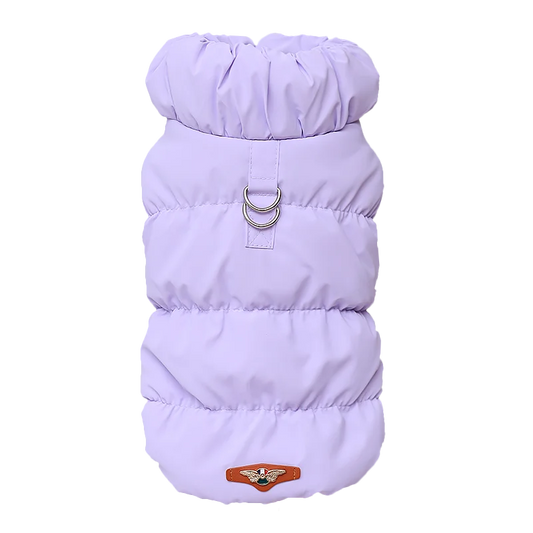 Veste pour chihuahua de couleur Bleau avec double anneaux de maintien pour les chiens. Image produit Boutiquechien