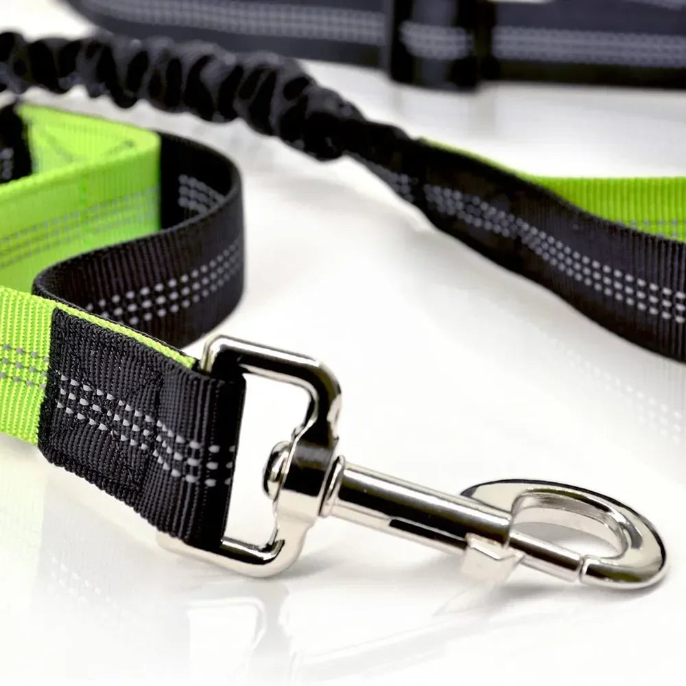 Laisse chien pour jogging anneau de maintien Image