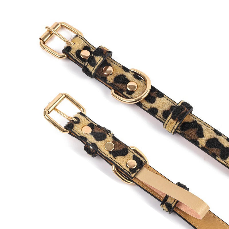 Collier chien chic attache du produit 