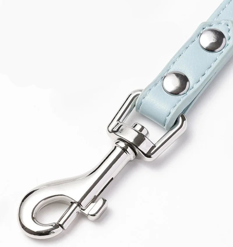Attache de laisse pour chien de couleur gris avec une laisse style cuir bleu de boutiquechien