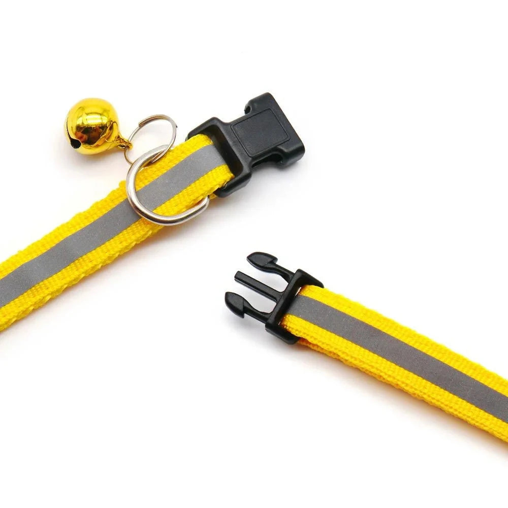attache du collier pour chiot 4 mois jaune  Image