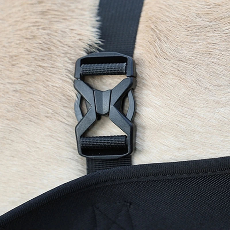 attache du harnais de levage pour chien de couleur noir sur un chien de couleur blanc