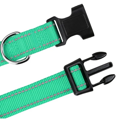 Collier vert avec attache noir dans un fond blanc de boutiquechien