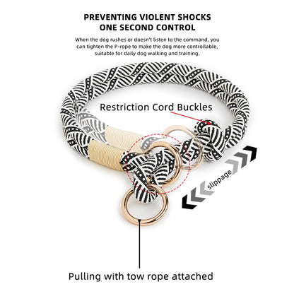 Collier chiot bouldog français avec tous les avantages de couleur blanc et noir 