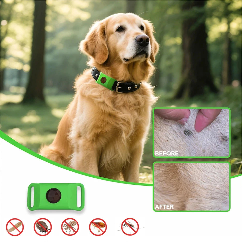 avantage du collier anti puce pour chien de boutiquechien Image