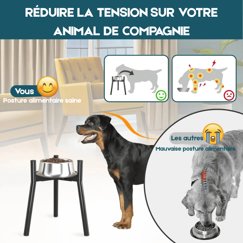 Avantage du support de gamelle surélevé pour chien. Image produit Boutiquechien