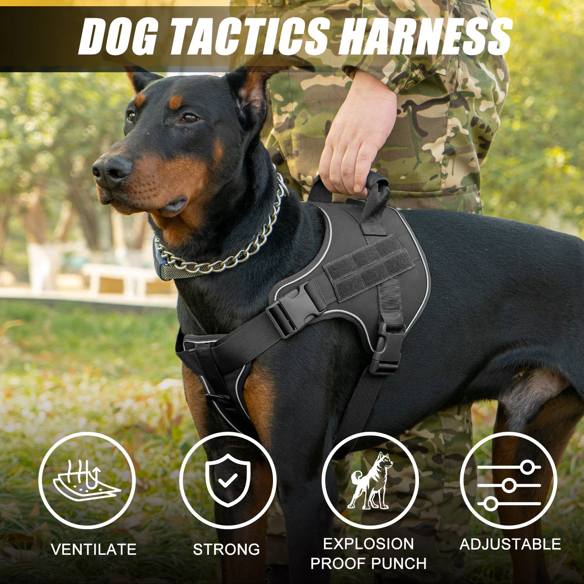 Meilleur harnais anti-traction pour berger allemand avantages  Image