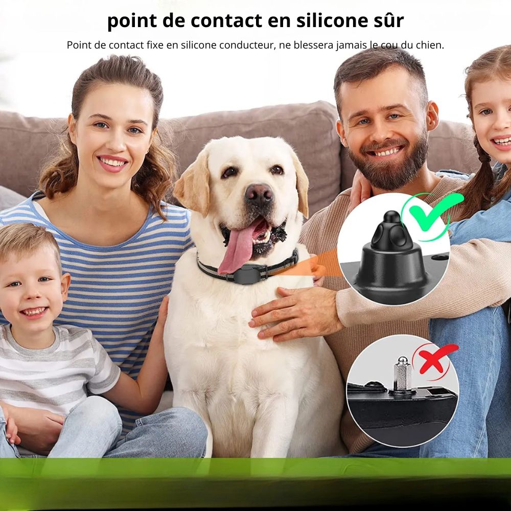avantages du collier pour chien vibrant  Image