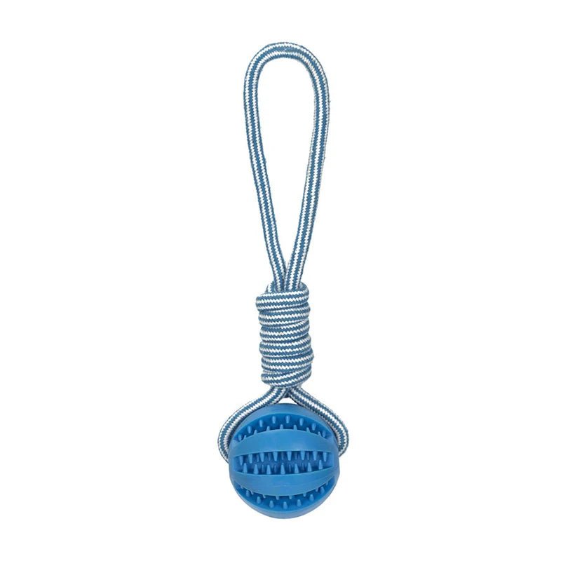 Balle à friandise de couleur bleu à corde résistant et durable. Image produit Boutiquechien