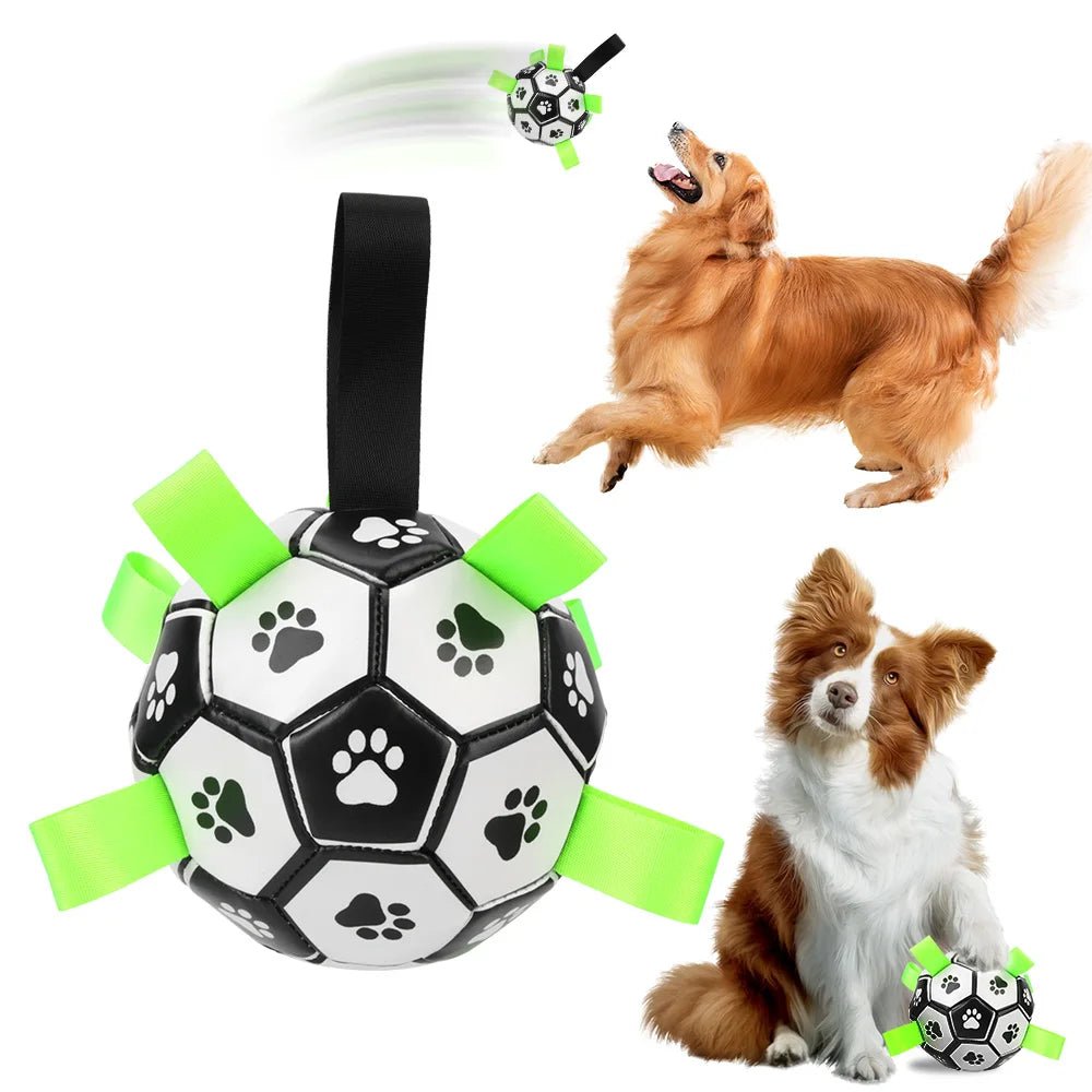 Ballon pour chien 