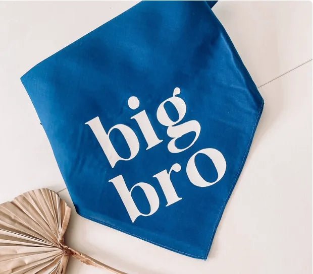 Bandana "Big Bro" pour chien Boutiquechien