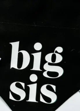 Bandana "Big Bro" pour chien Boutiquechien