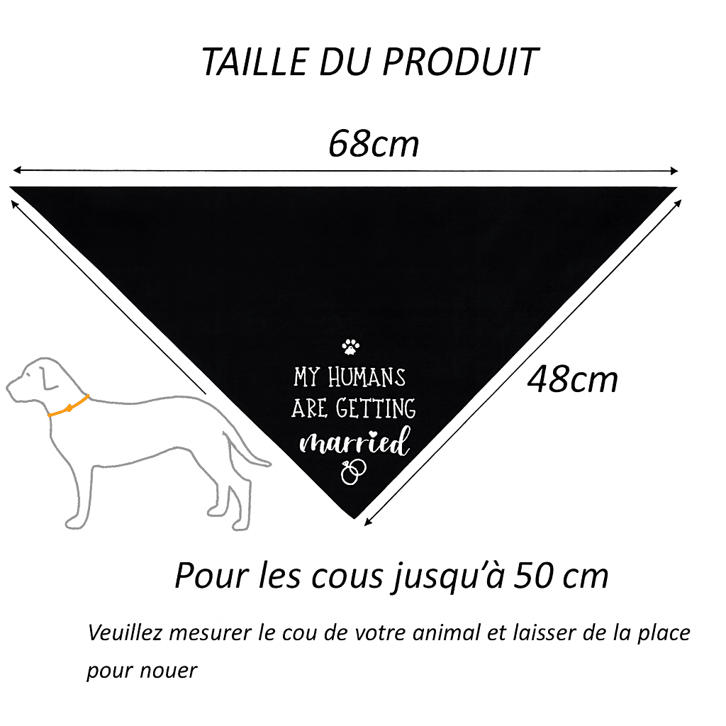 dimension total du bandana pour chien de couleur noir avec toutes les instructions de tailles. Image produit Boutiquechien