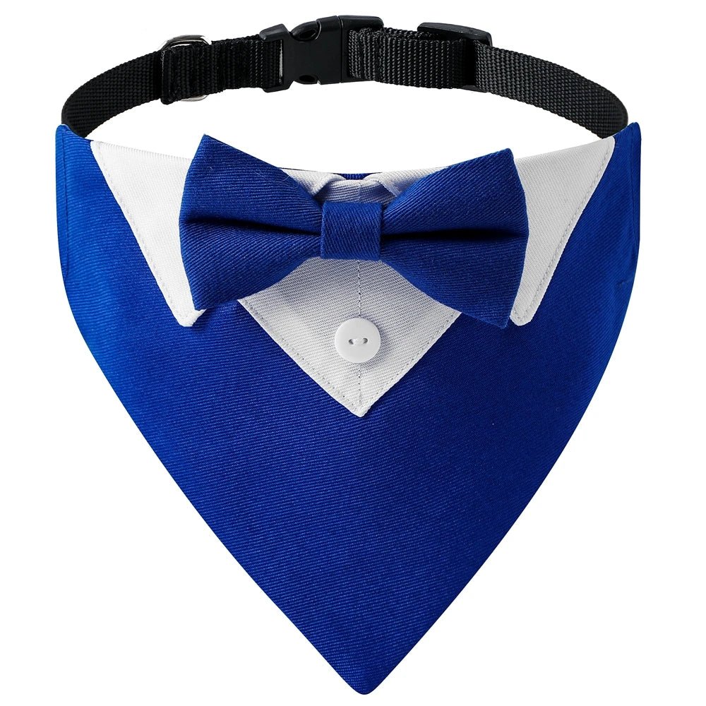 Bandana pour chien de couleur bleu avec classe pour les chiens. Image produit Boutiquechien