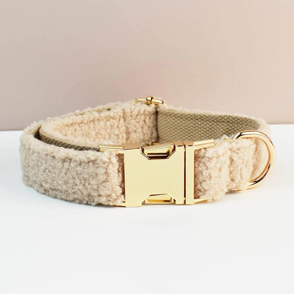 Beau collier chien blanc