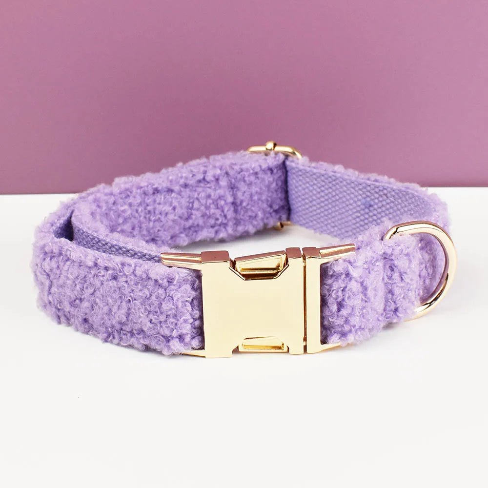 Beau collier chien violet