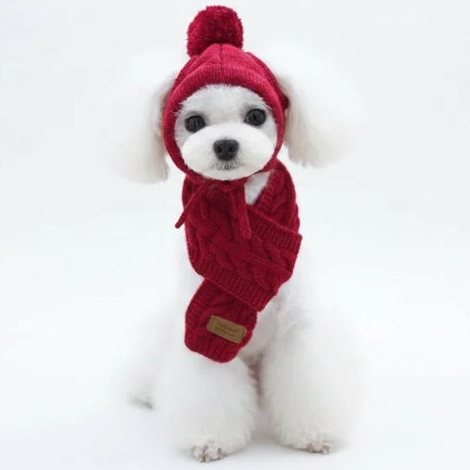 Bonnet avec une écharpe de couleur rouge sur un petit chine de couleur blanc. Image produit Boutiquechien