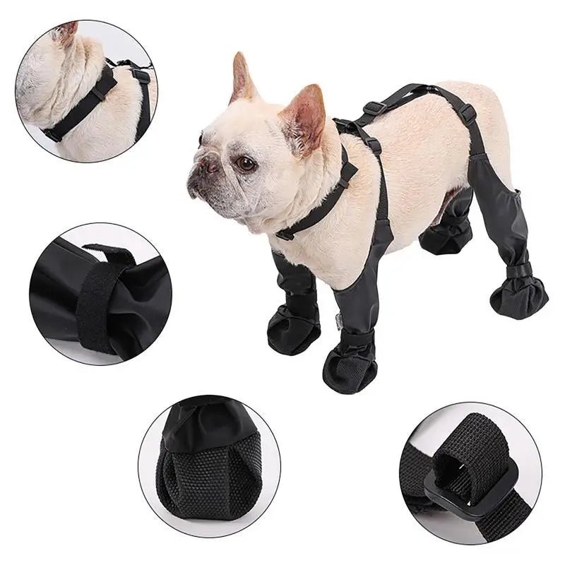 Avantages des bottes pour chiens hautes de boutiquechien de couleur noir 