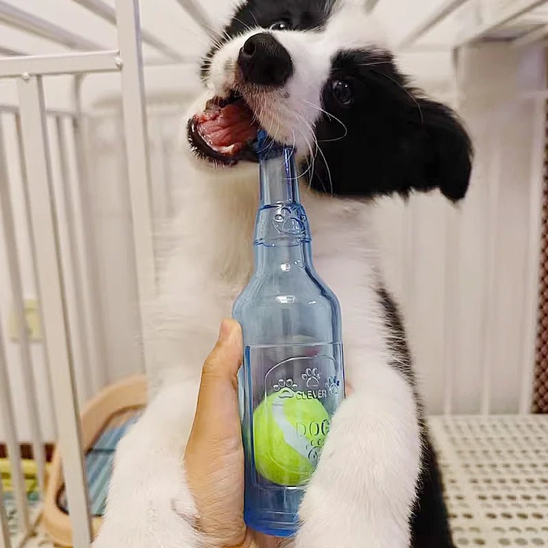 Chien blanc et noir jouant avec sa bouteille à balle de couleur bleu. Image produit Boutiquechien