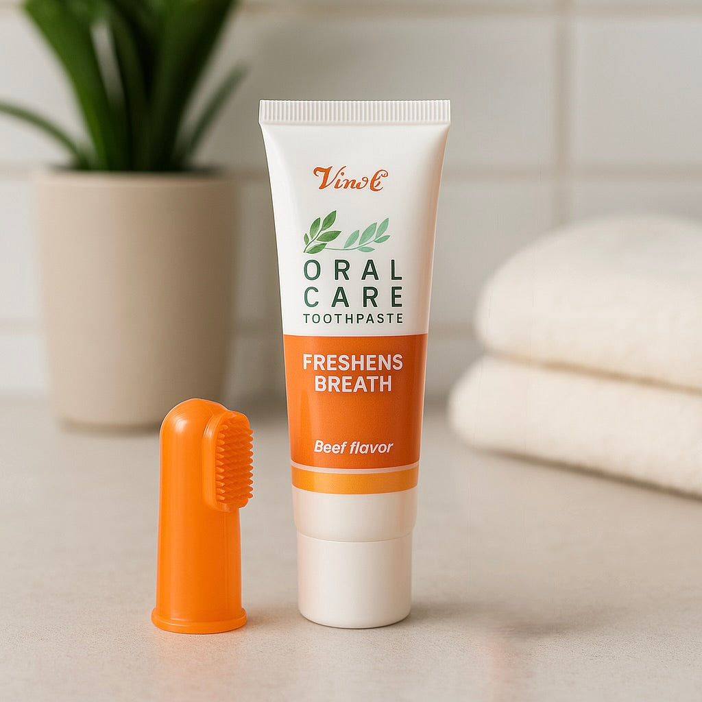 brosse a dent Doigt de couleur orange avec un dentifrice gout boeuf pour chien. Le produit est posé dans une cuisine de couleur blanc avec une plante verte. Image produit Boutiquechien Image