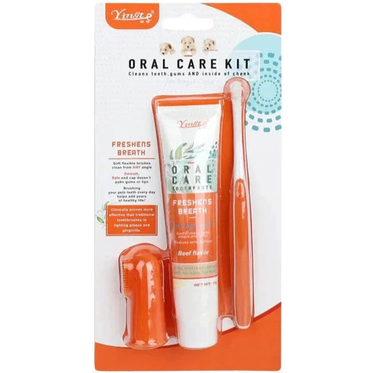 pack complet de brosse à dent pour chien de couleur orange. Image produit Boutiquechien 