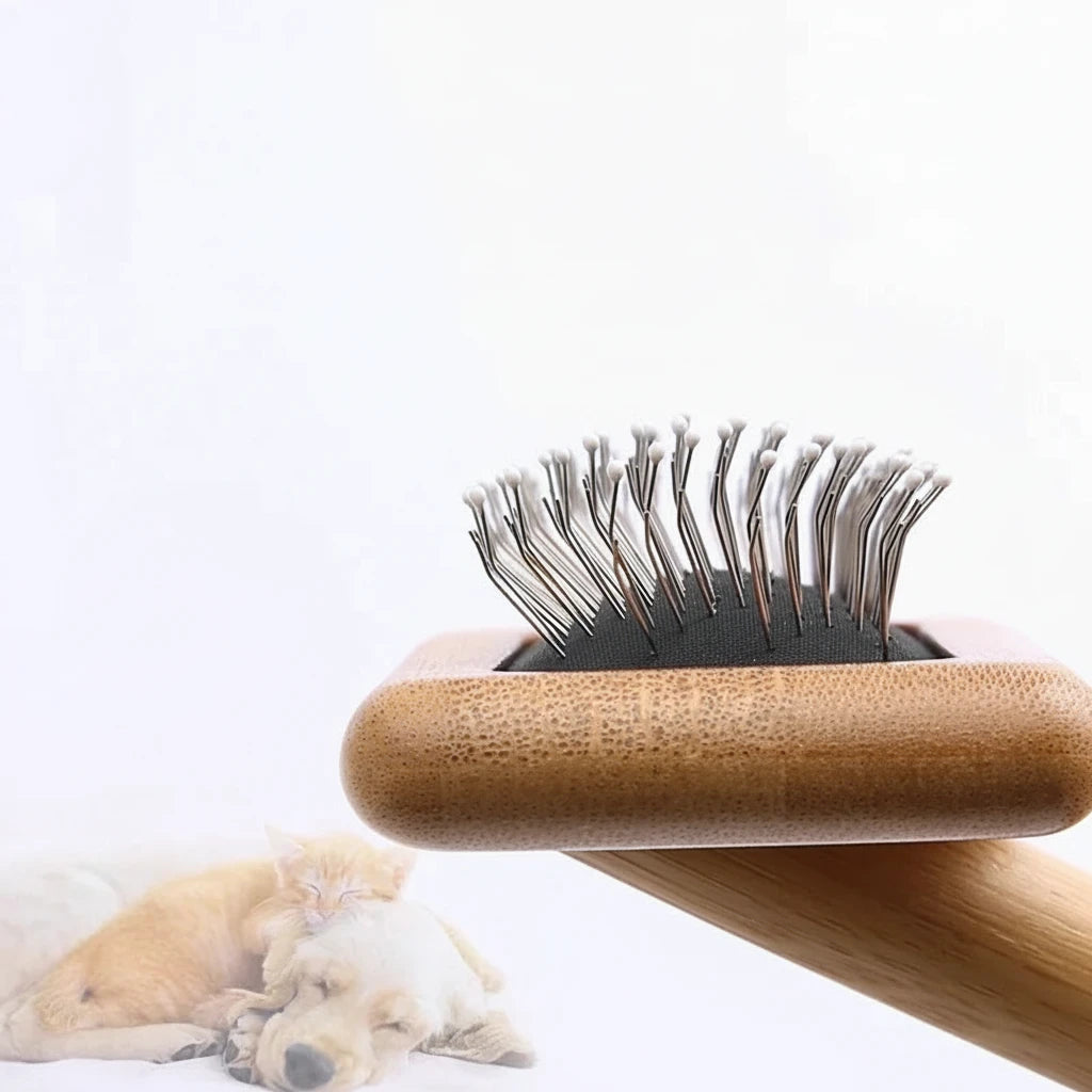 brosse chien pneumatique picot mis en avant 