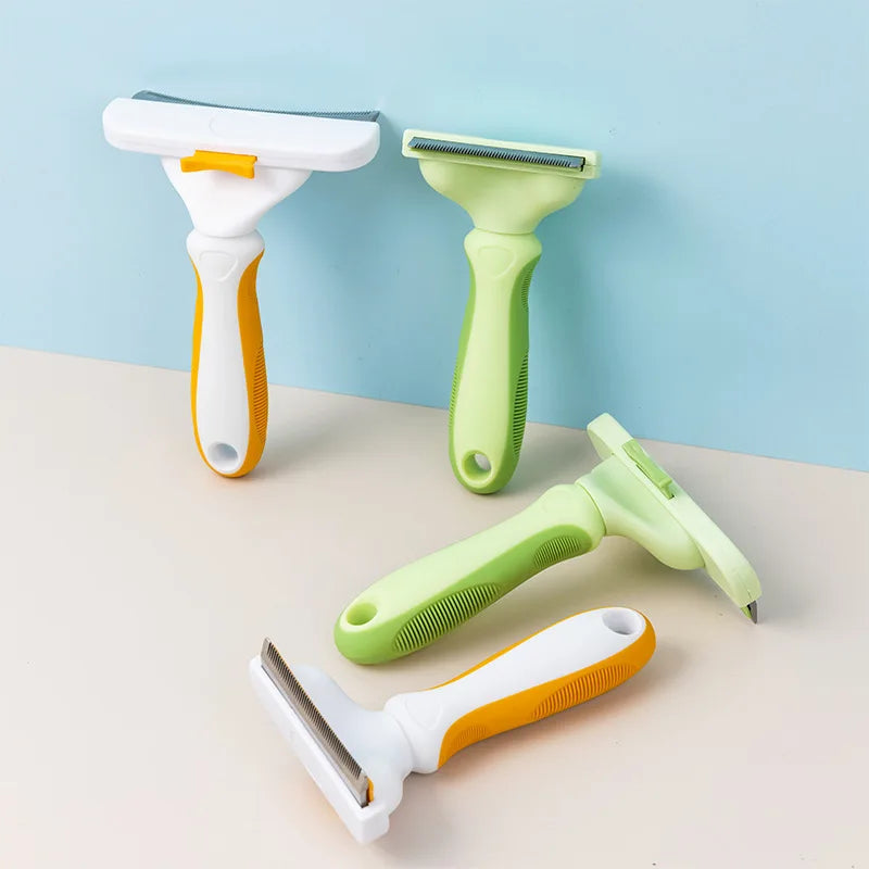 brosses pour chien vert et orange mis en valeur dans un fond bleu Image