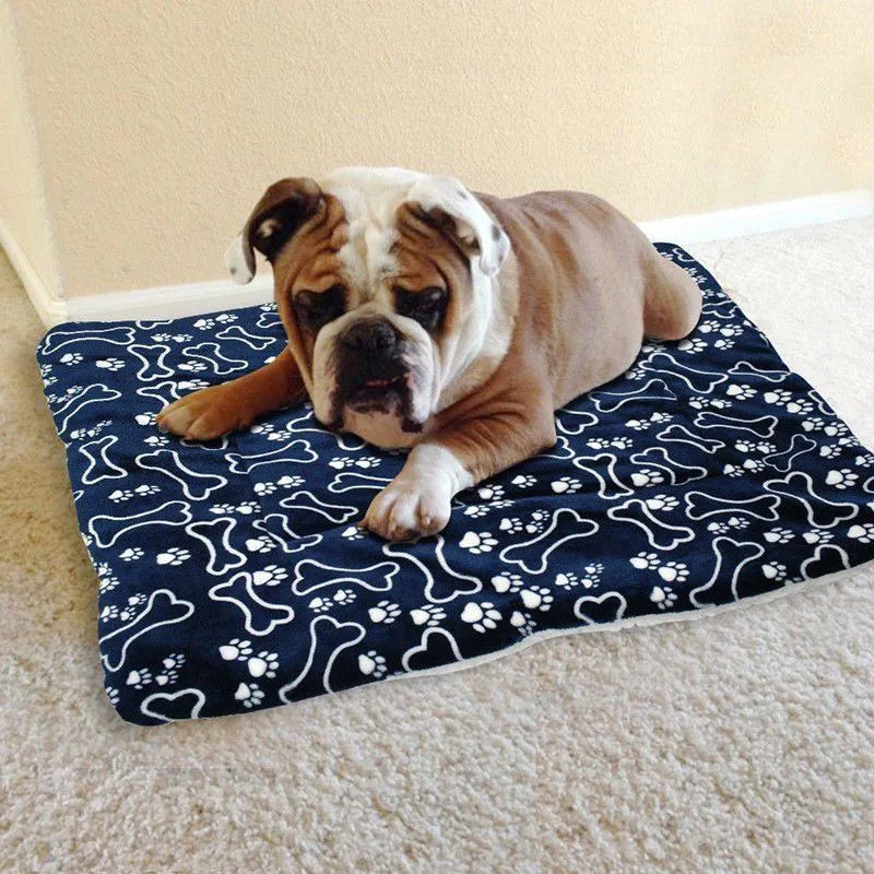 Buldog blanc et bleu couché sur un tapis chien de couleur claire. Image produit Boutiquechien 
