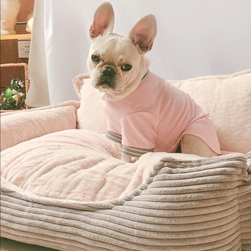 Joli panier pour chien avec un buldgo dedans  Image