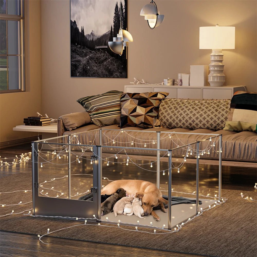Cage pour chien transparente avec un chien blanc et ses chiots. en fond il y a un canapé gris et une table avec une lampe. Image produit Boutiquechien