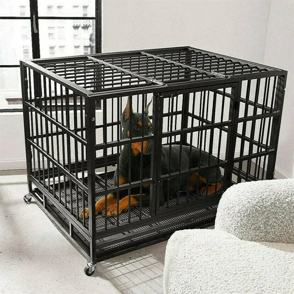 Cage chien noir à roulette posé dans un salon de couleur claire avec un doberman dedans. Image produit Boutiquechien