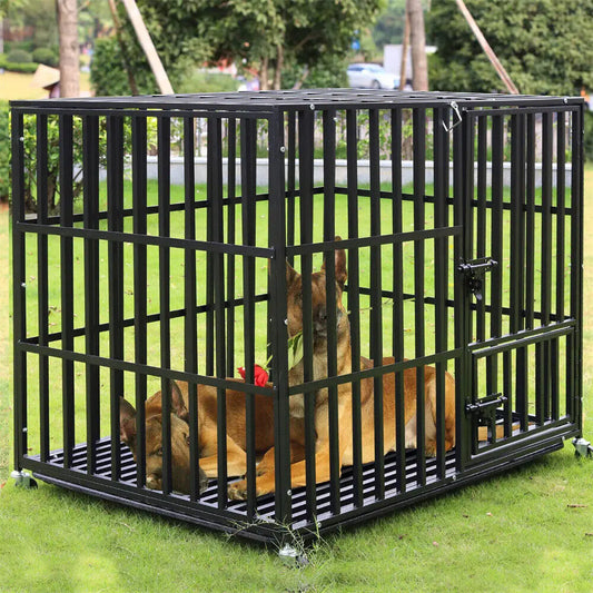 Grande cage de couleur noir avec deux bergers allemand dans la cage noir. La cage est posé dans l'herbe verte avec en fond des arbres. Image produit Boutiquechien