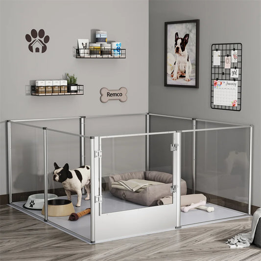 Cage pour chien de couleur gris avec un chien blanc et noir dans la cage chien transparente. En fond il y a des choses sur les murs. Image produit Boutiquechien 
