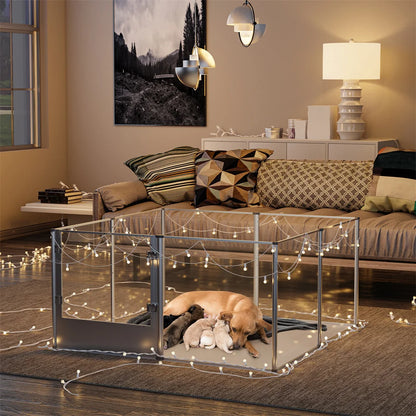 Cage pour chien transparente avec un chien blanc et ses chiots. en fond il y a un canapé gris et une table avec une lampe. Image produit Boutiquechien