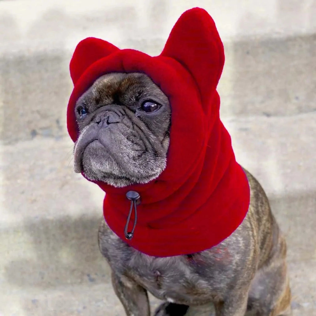 Cagoule chihuahua avec n buldog noir