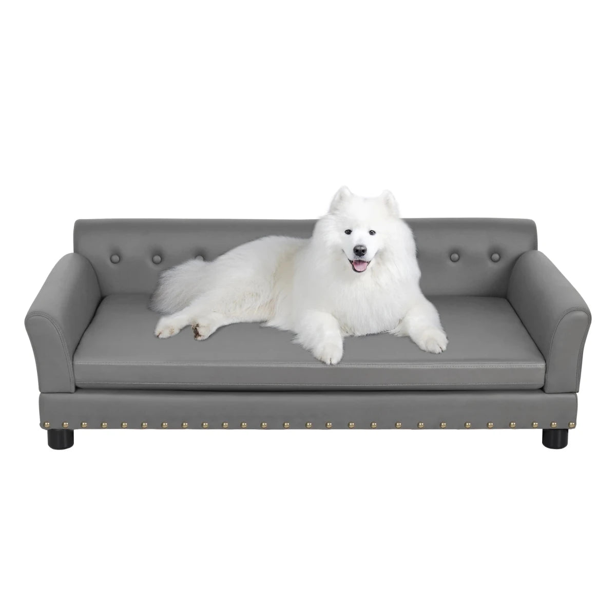 Canapé pour 2 places chien xxl avec chien blanc